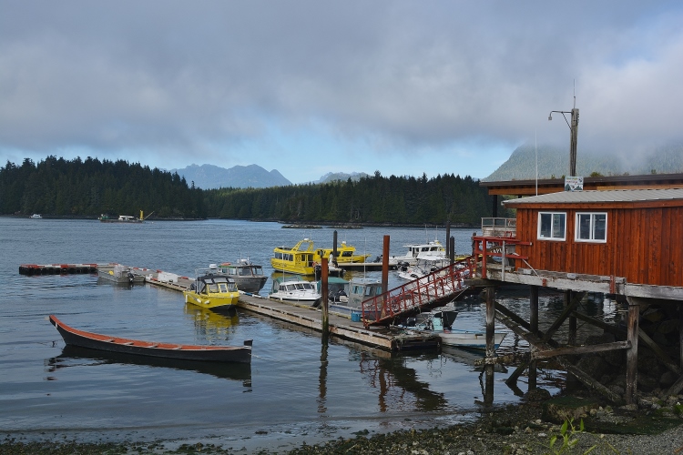looking out over Tofino Inlet